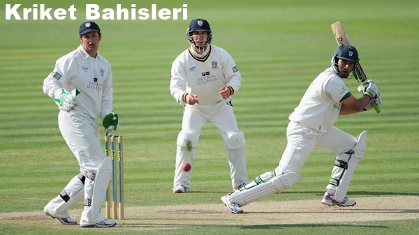 kriket bahisleri - kriket oynayan 3 sporcu